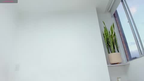 Xavier online show from December 17, 10:49 pm