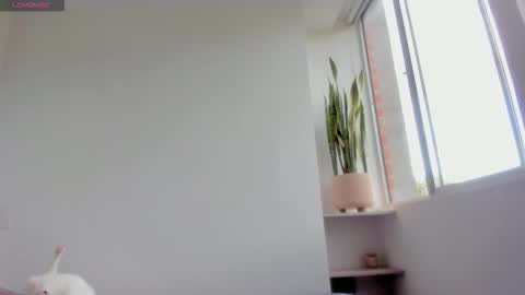 Xavier online show from January 18, 8:34 pm