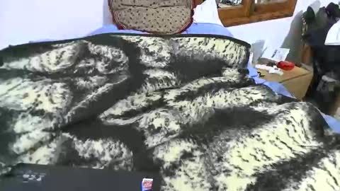 Snapshot of xaxi3 chatting on January 10, 11:31 pm xaxi3 online show from January 10, 11:31 pm