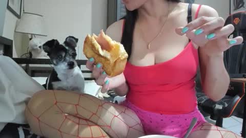 xdreamangel online show from December 20, 9:00 am