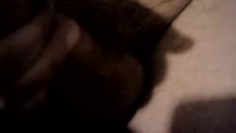 xdreamer online show from March 17, 10:24 pm