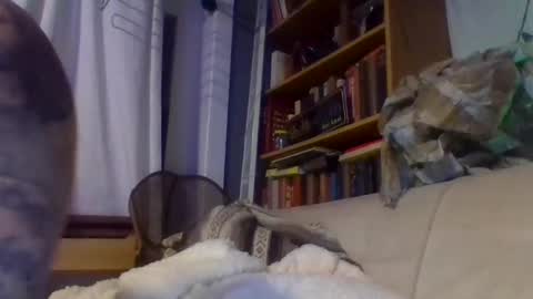 Snapshot of xlpack69 chatting on December 17, 11:16 pm John online show from December 17, 11:16 pm