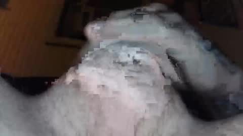 xoxossdfm8894982459 online show from December 20, 3:46 am