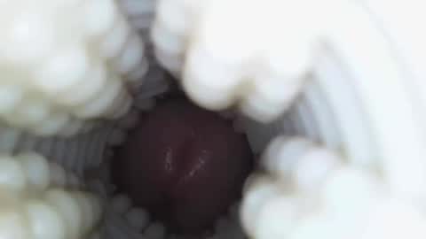 Snapshot of xoxowtf chatting on January 9, 4:26 am xoxowtf online show from January 9, 4:26 am