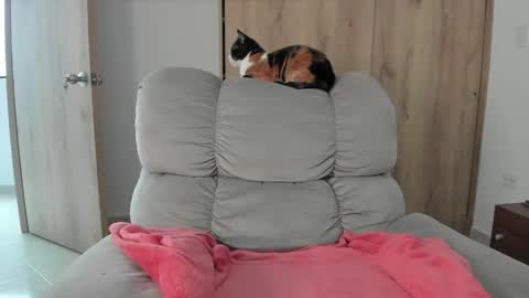 Hellen Sofia instagram hellen5546 online show from May 9, 7:41 pm