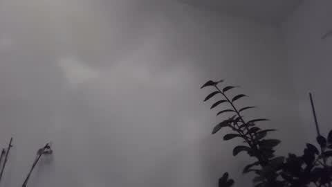 yakijoe online show from November 6, 10:43 pm