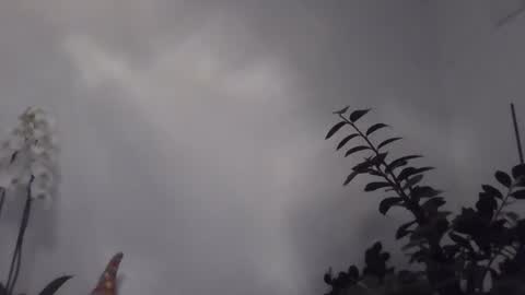 yakijoe online show from March 1, 10:56 pm