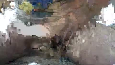 Snapshot of yankee85 chatting on October 6, 5:38 am Yankee online show from October 6, 5:38 am