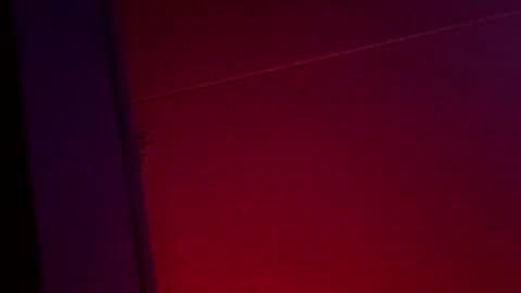 Snapshot of yelladaniella chatting on December 1, 10:42 am Ella Ts online show from December 1, 10:42 am