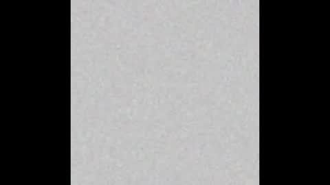 .     y e l l o w s n a k e s       . online show from November 30, 6:12 pm