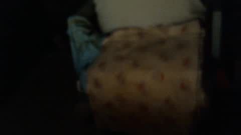 .     y e l l o w s n a k e s       . online show from January 6, 9:24 am