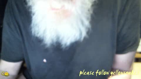 .     y e l l o w s n a k e s       . online show from February 10, 9:57 am