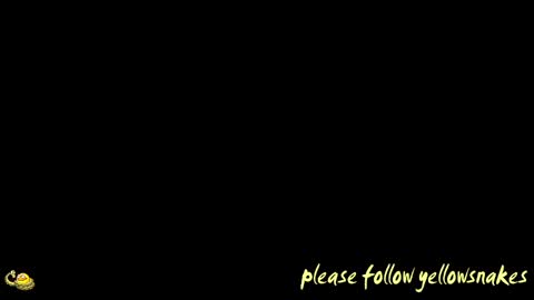 .     y e l l o w s n a k e s       . online show from April 15, 11:17 am