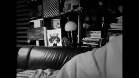 Snapshot of yessex247 chatting on February 19, 6:20 am yessex247 online show from February 19, 6:20 am