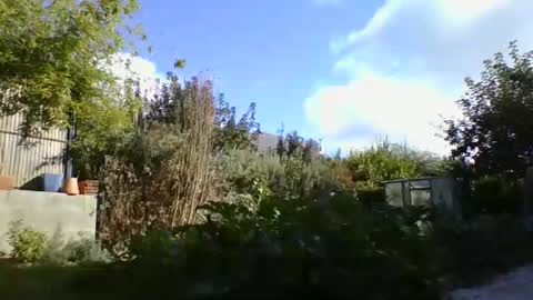 Snapshot of yoannsexmalo chatting on October 9, 1:42 pm Yoann online show from October 9, 1:42 pm