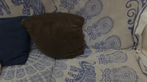 Snapshot of yosoyplex91 chatting on January 11, 11:54 pm AlexBlack online show from January 11, 11:54 pm