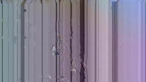 fin online show from November 5, 12:05 pm