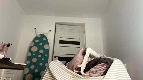 private on 18 per minute start private 500 tokensOnlyfans  online show from January 9, 8:44 pm