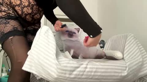 private on 18 per minute start private 500 tokensOnlyfans  online show from February 1, 9:32 am