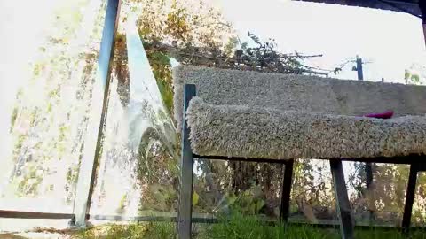 private on 18 per minute start private 500 tokensOnlyfans  online show from November 2, 11:56 am