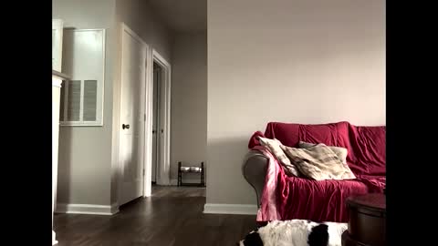 kindahorny online show from October 14, 6:09 pm