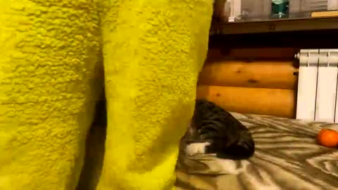 Snapshot of your_cute_friend chatting on December 31, 9:50 pm Fansly online show from December 31, 9:50 pm