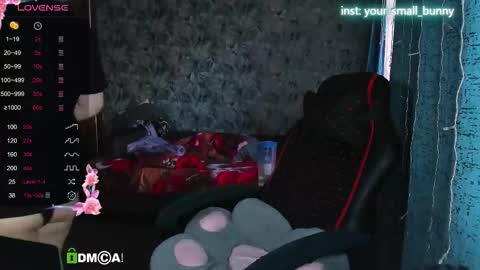 Snapshot of your_small_bunny chatting on September 30, 2:49 am Molly online show from September 30, 2:49 am