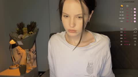 Snapshot of yourher0in chatting on January 12, 11:28 am Aida online show from January 12, 11:28 am