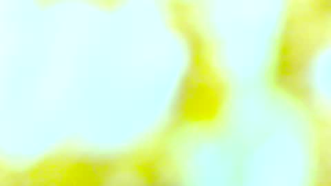 Snapshot of yourmynorthstar chatting on October 13, 9:48 pm Edging4U online show from October 13, 9:48 pm