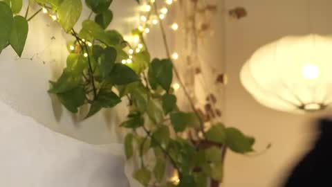 yulla dao online show from February 28, 4:31 pm