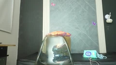 Yummyduo online show from February 10, 11:03 am