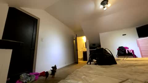 BbyTSSLut online show from November 21, 2:32 am