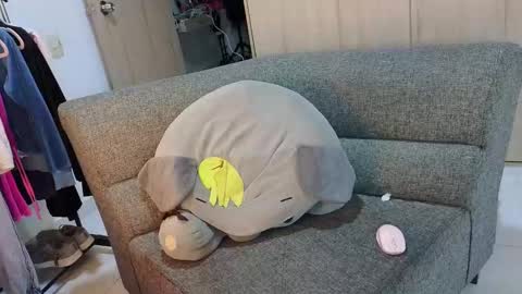 Zack online show from January 22, 7:35 am