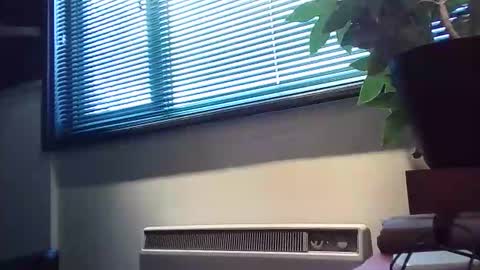 Snapshot of zalina2 chatting on February 13, 4:03 pm zalina2 online show from February 13, 4:03 pm