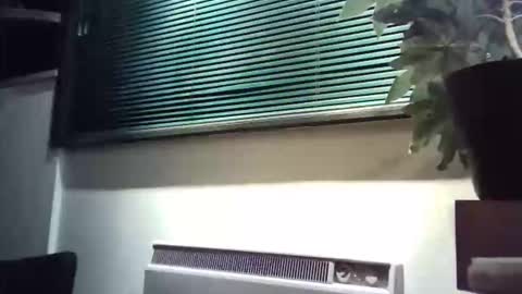 Snapshot of zalina2 chatting on March 8, 6:06 am zalina2 online show from March 8, 6:06 am