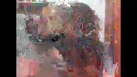 Zatth online show from February 14, 7:49 am