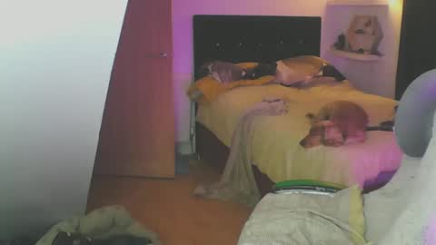 Zed online show from January 19, 6:10 pm