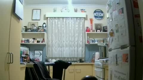 zempo2 online show from June 15, 3:14 pm