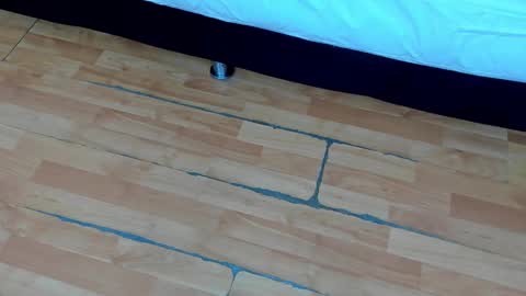 zia online show from February 21, 12:17 pm