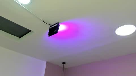 zia online show from September 20, 11:11 am