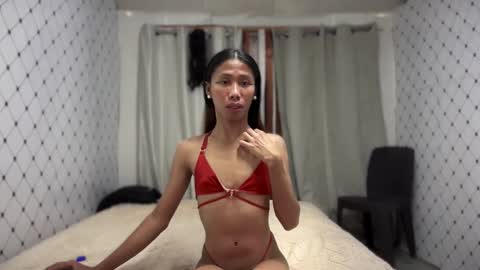 Zinnia nics online show from November 8, 6:57 am