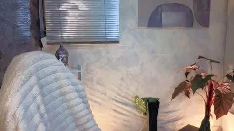 Snapshot of zoee_kiss_ chatting on May 9, 5:34 am ZOE online show from May 9, 5:34 am