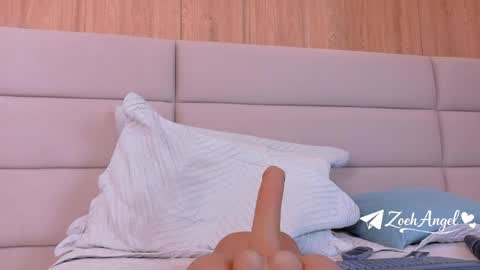Snapshot of zoehangel chatting on May 29, 11:03 pm Zoe online show from May 29, 11:03 pm