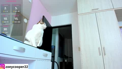 zoey  Independent model online show from November 15, 1:36 am