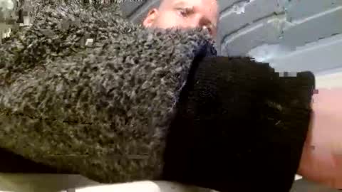 zolexthomas online show from January 26, 4:51 pm