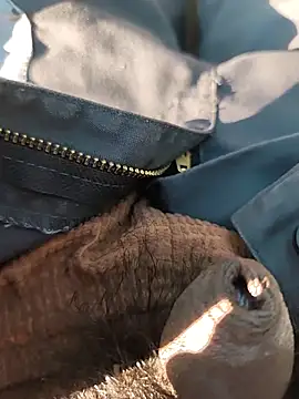 Nishu12356g online show from September 20, 2:40 pm