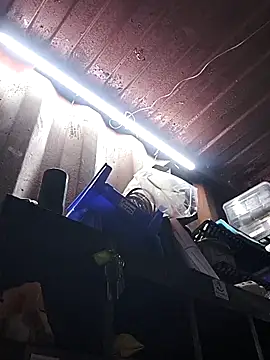 Snapshot of rajstrip12650 chatting on December 18, 9:26 am rajstrip12650 online show from December 18, 9:26 am