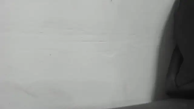 roxana collins online show from January 16, 2:30 am