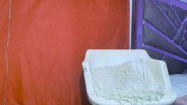 roxana collins online show from September 21, 9:22 am