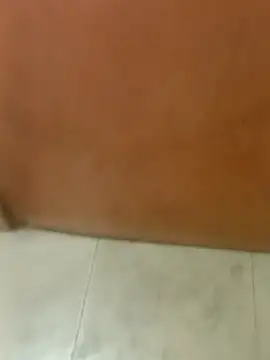 Rupok dulavai online show from November 21, 10:08 pm